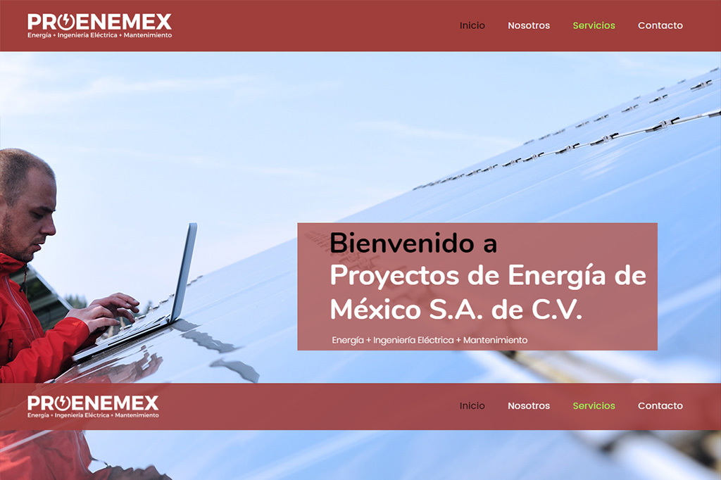 Página web Proenemex